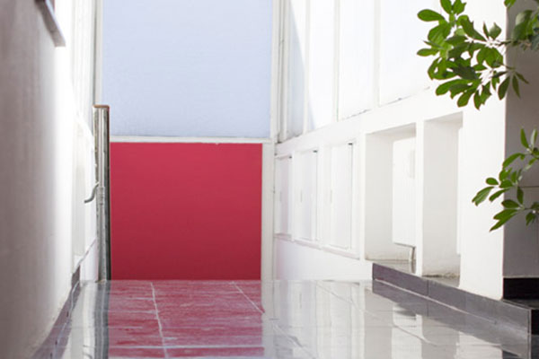 Reinigung und Sanierung von Steinböden